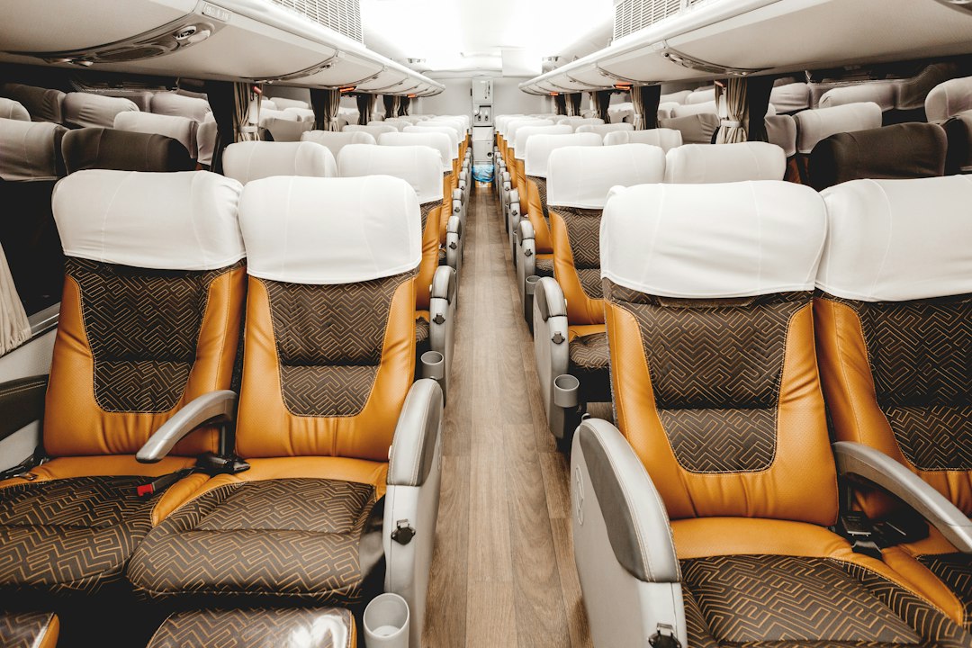 LX Limo mercedes sprinter